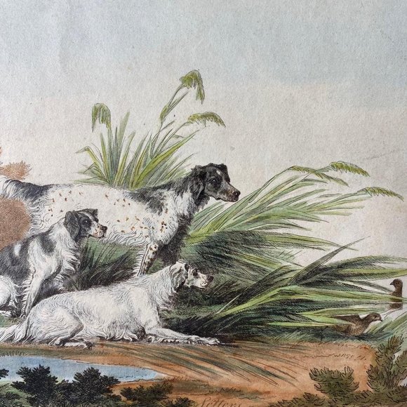 Antique "Setters" By R Pollard Engraver & Print seller Framed Glass Cover - Picture 2 of 9